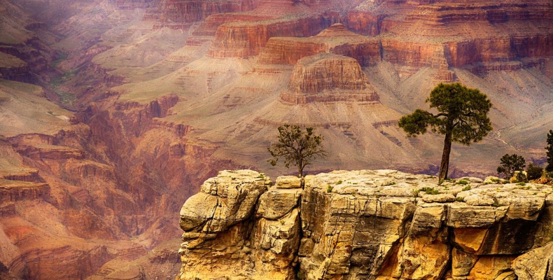 grand canyon national park